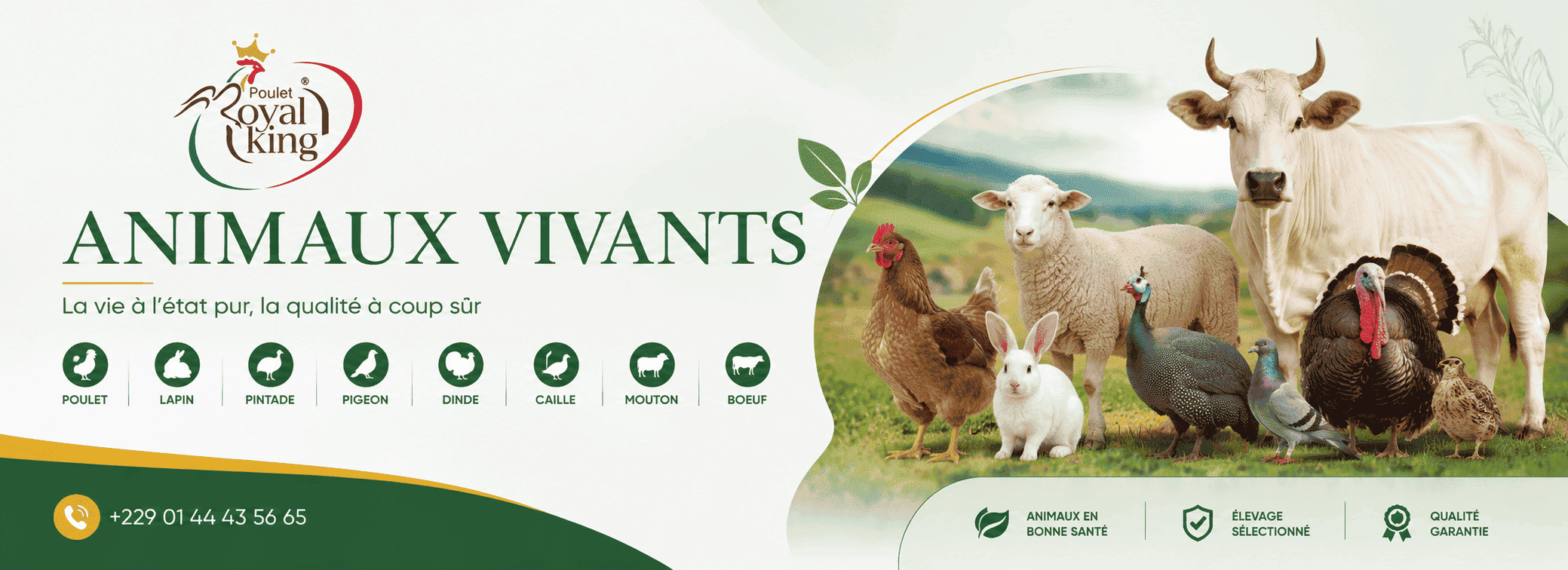 bannière de lepouletroyal.com
