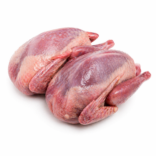 Viande de Pigeon